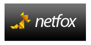 Регистратор NetFox